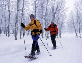  Raquetas de nieve en el bosque 